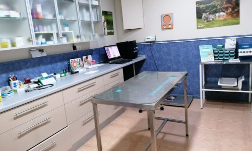 Veterinario perros y gatos