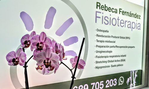 centro fisioterapia majadahonda osteopatia recuperacion postparto rebeca fernandez