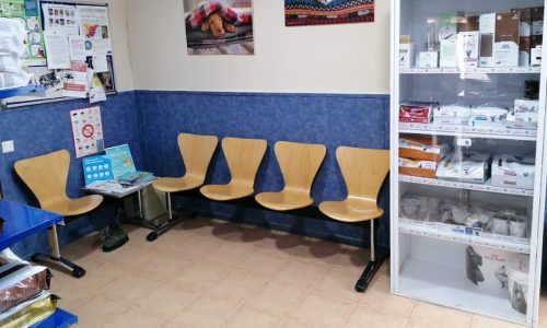 veterinario majadahonda